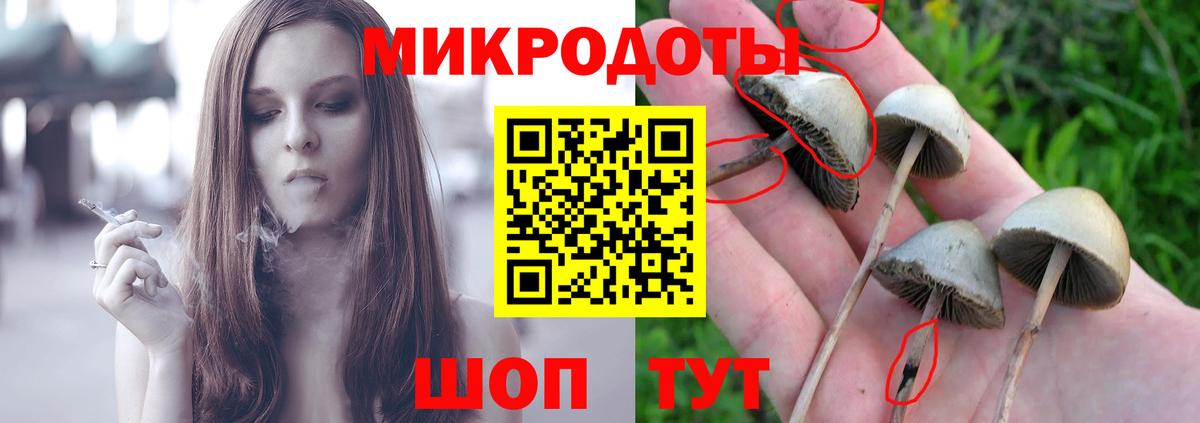 Галлюциногенные грибы MAGIC MUSHROOMS Избербаш